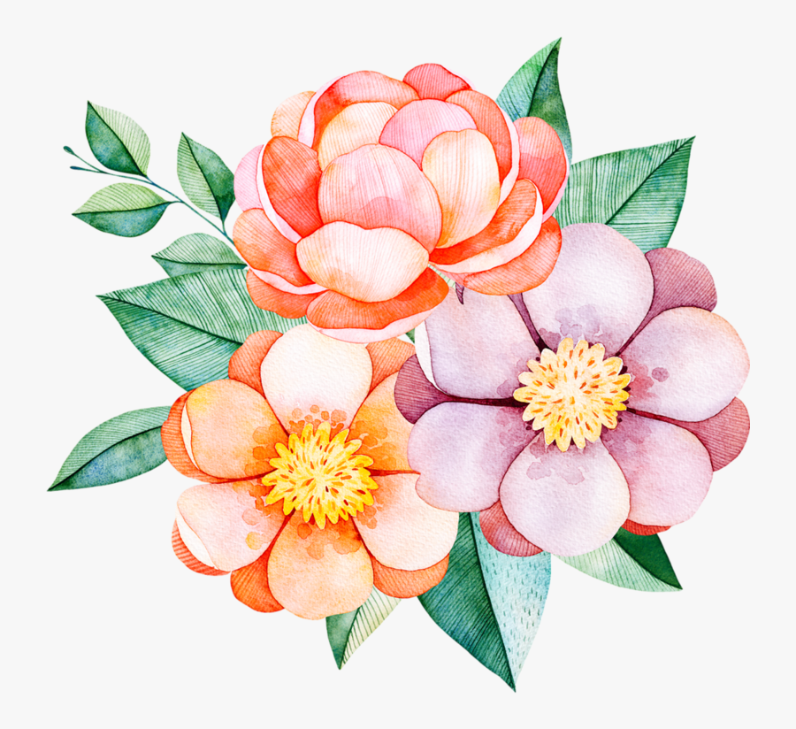 Hydrangea Clipart Botany - Flores Y Hojas Con Ramas, Transparent Clipart