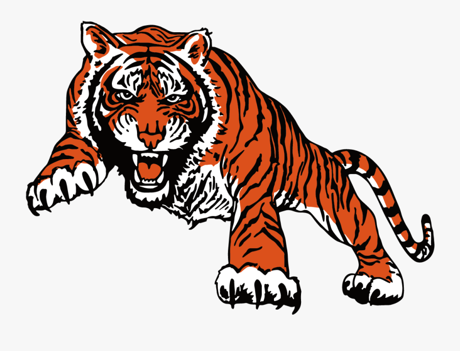 Return Home - Bengal Tiger, Transparent Clipart