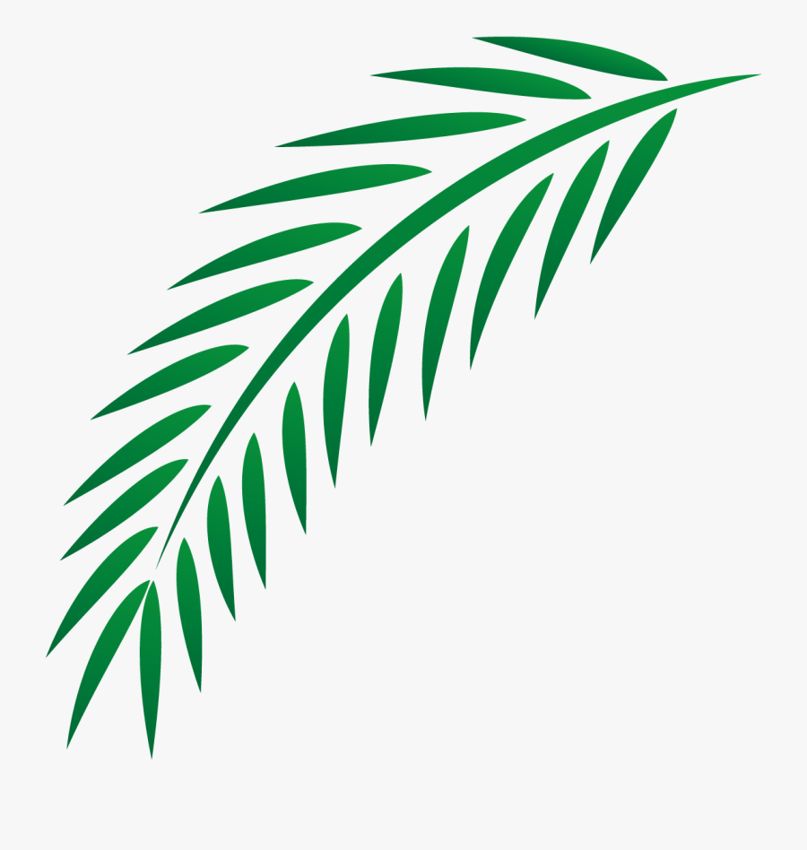 Euclidean Easter Leaves Transprent - Palm Branch Leaf Clip Art, Transparent Clipart