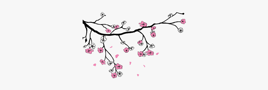 #sakura #sakuras #flower #flowers #cherry #cherryblossoms - Cartoon Cherry Blossom Flowers Drawing, Transparent Clipart