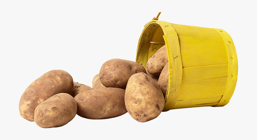 Russet Burbank Potato, Transparent Clipart
