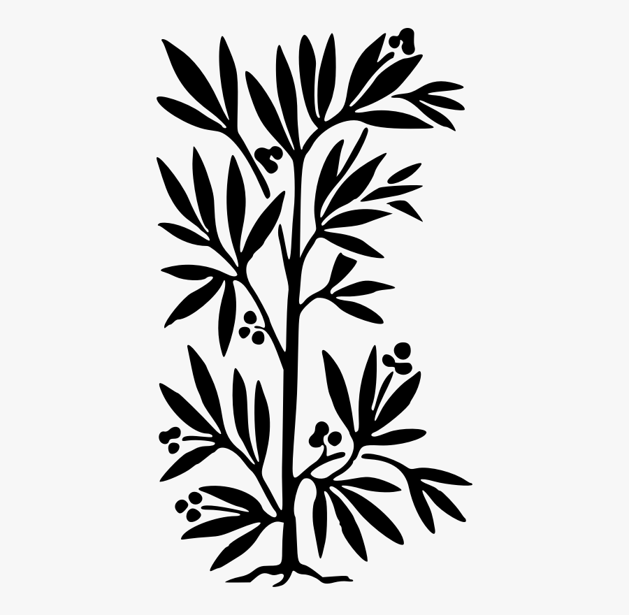 Line Art,plant,flora, Transparent Clipart