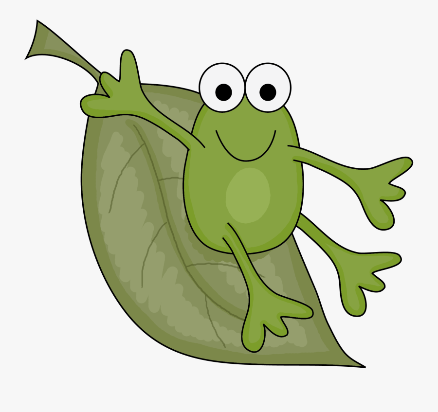 Rainforest Clipart Treefrog - Cartoon, Transparent Clipart