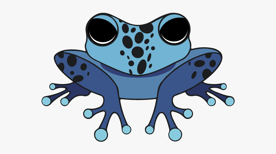 Dblue - Poison Dart Frog, Transparent Clipart