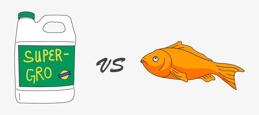 Aquaponics Vs Hydroponics - Ati Radeon Hd 5890, Transparent Clipart