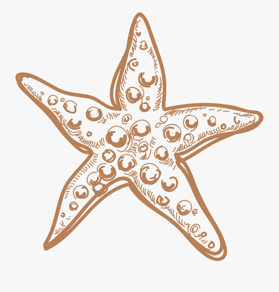 Sea Star Png Image Background - Seastar Png, Transparent Clipart