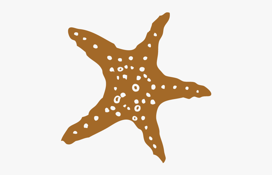 Starfish, Transparent Clipart