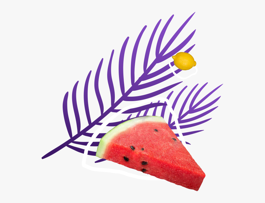 Watermelon, Transparent Clipart