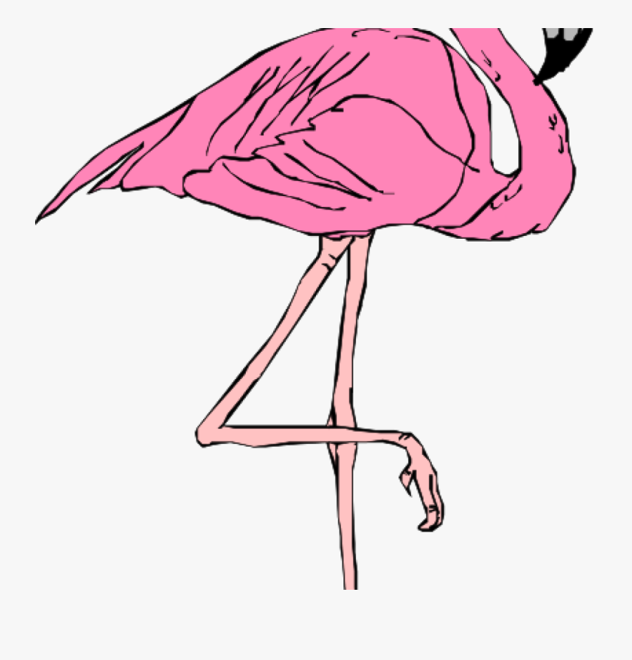 Art Drawing Flamingo Roblox