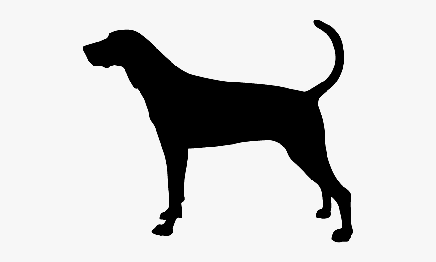 Treeing Walker Coonhound Redbone Coonhound Bluetick - Treeing Walker Coonhound Silhouette, Transparent Clipart