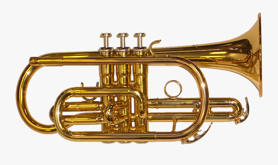 Clip Art Growing Into The Next - Instrument Of Brass Band, Transparent Clipart