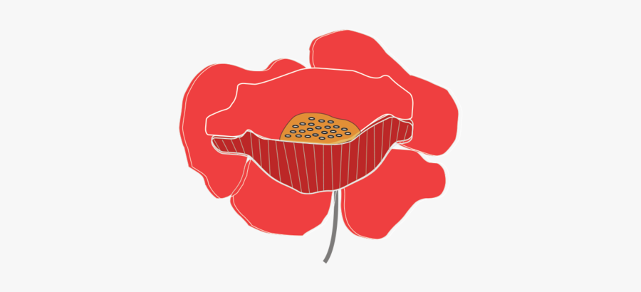 Op Poppy Long - Bánh, Transparent Clipart