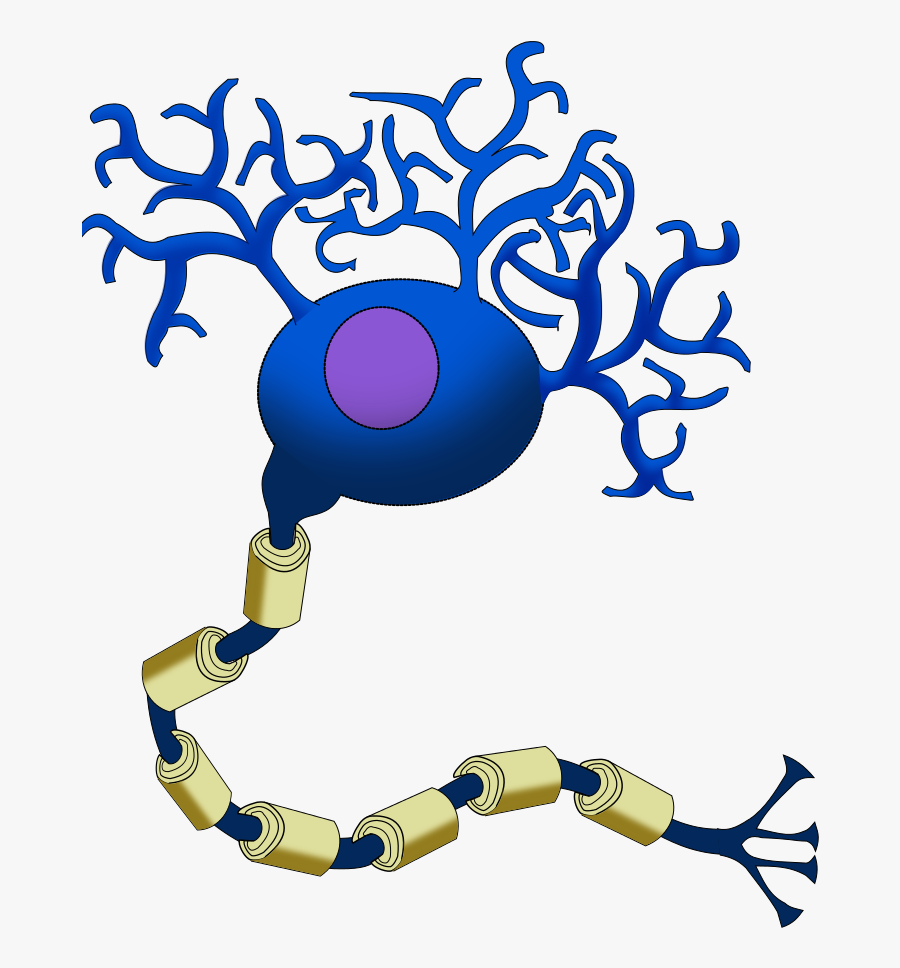 Neuron Cartoon - Neurotransmitter Filled Vesicles Neurons , Free