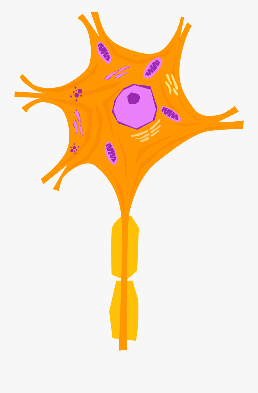 Small Picture Of A Neuron, Transparent Clipart