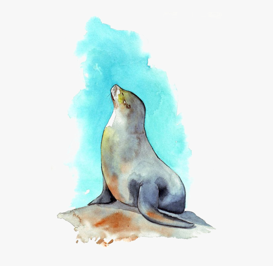 Clip Art Sea Lion Painting Transprent - D&d Seal, Transparent Clipart