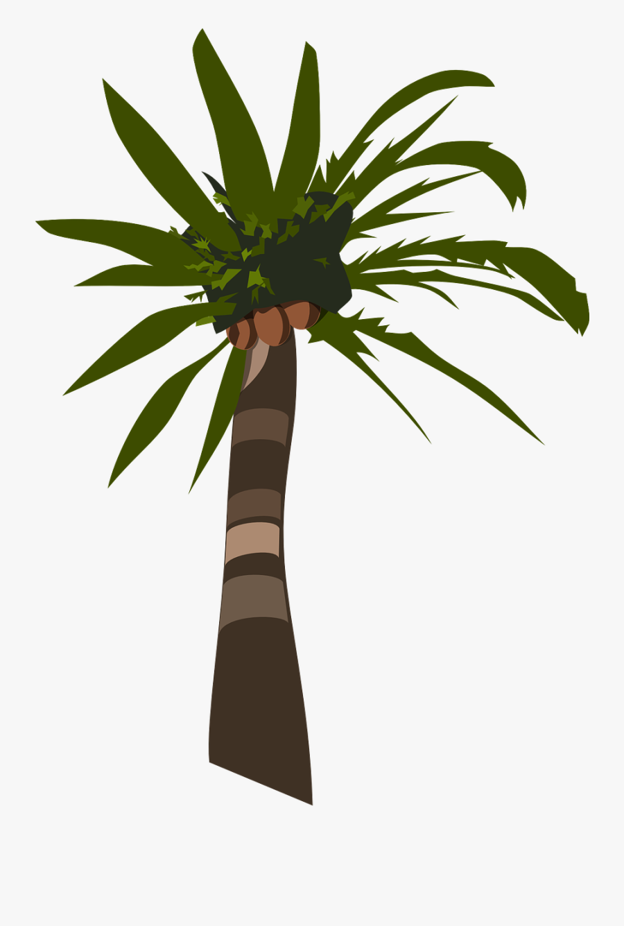 Palm Tree Plant Free Picture - Palm Tree Clip Art, Transparent Clipart