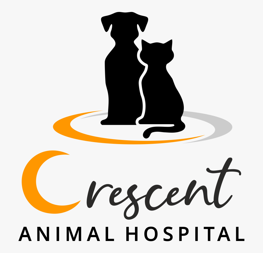 Crescent Animal Hospital - Black Cat, Transparent Clipart