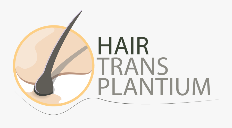 Hair Trans Platinium - Illustration, Transparent Clipart