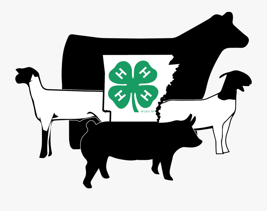 4-h Livestock - Show Pigs Decal , Free Transparent Clipart - ClipartKey