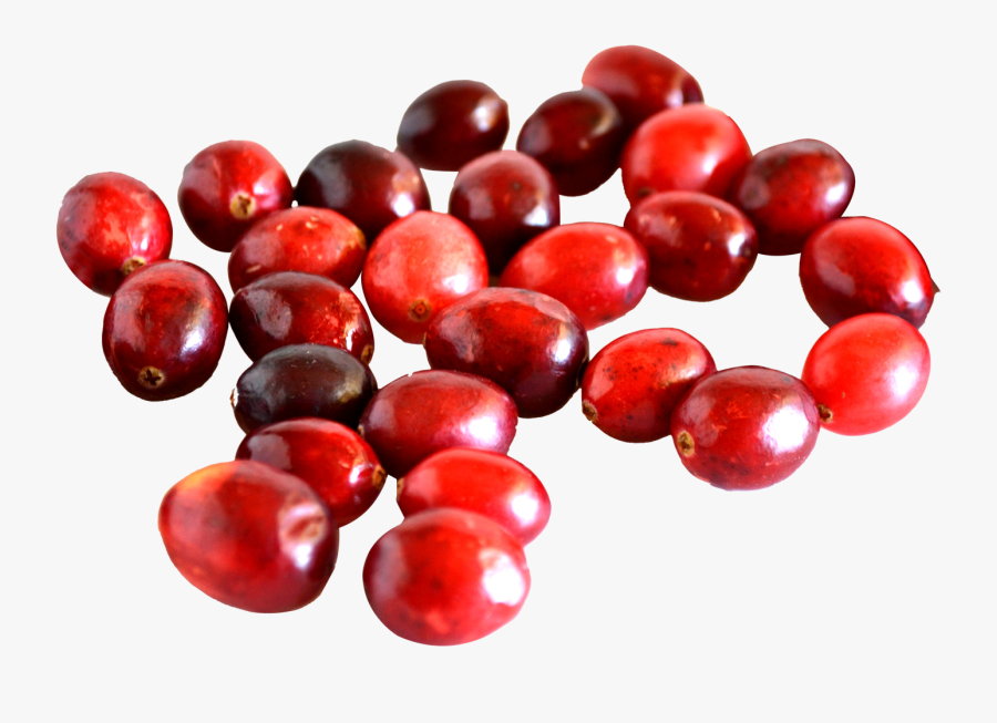 Difference Between Cranberry And Cherry, Transparent Clipart