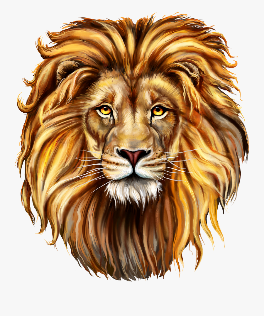 Lion Clip Art Png Image Free Download Searchpng - Draw A Lions Mane, Transparent Clipart