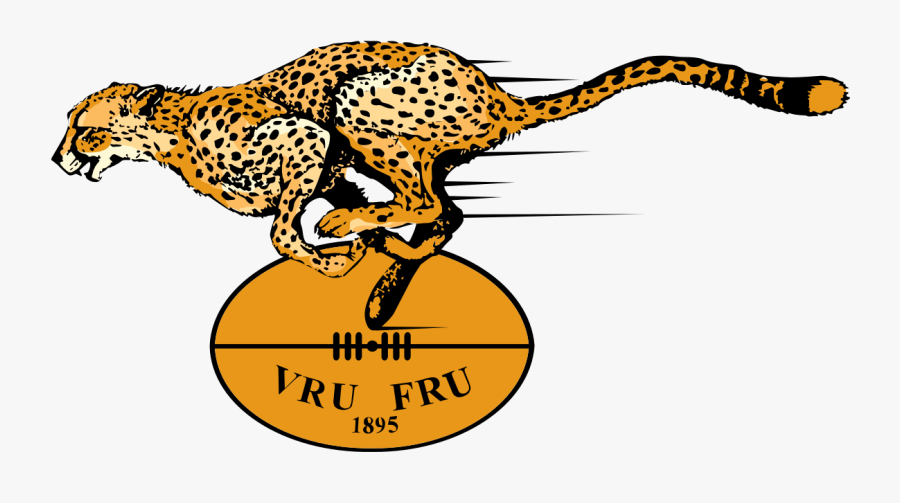 Cheetah Clipart Svg - Cheetahs Rugby Logo, Transparent Clipart