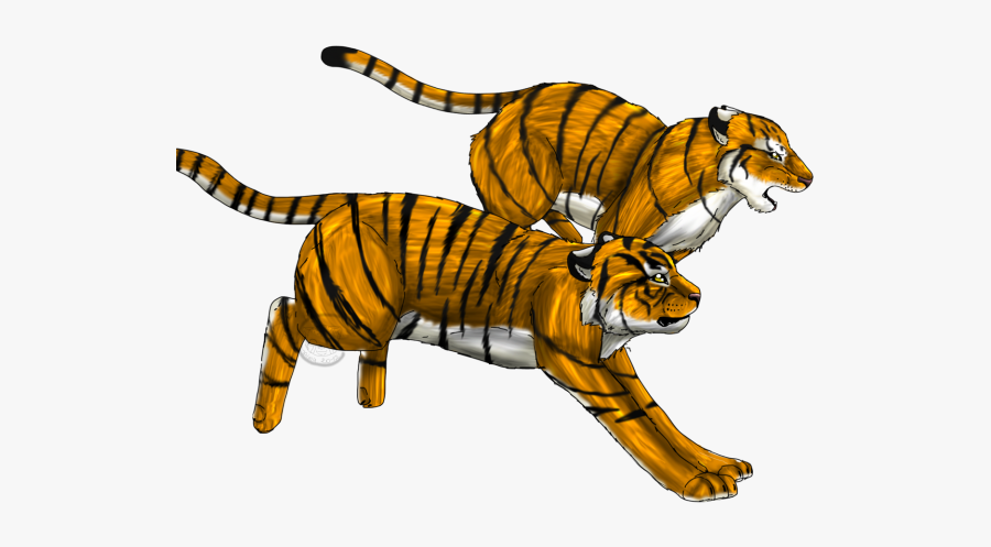 Cheetah Clipart Tiger Run - Tiger, Transparent Clipart