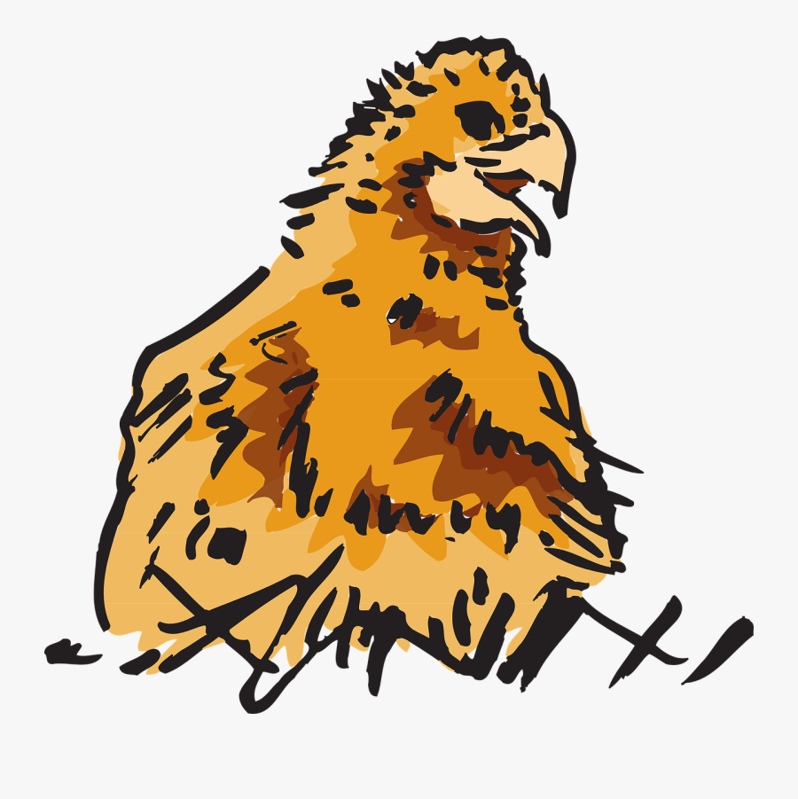 Farm, Bird, Chick, Animal, Fuzzy, Fuzz - Animals Clipart, Transparent Clipart
