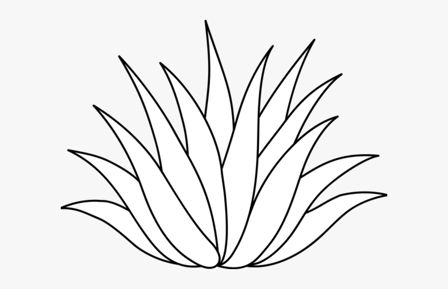 Agave Plant Clip Art, Transparent Clipart