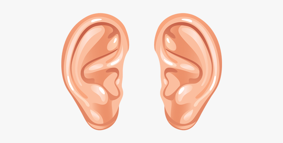 Human Ear Ears Clipart, Transparent Clipart