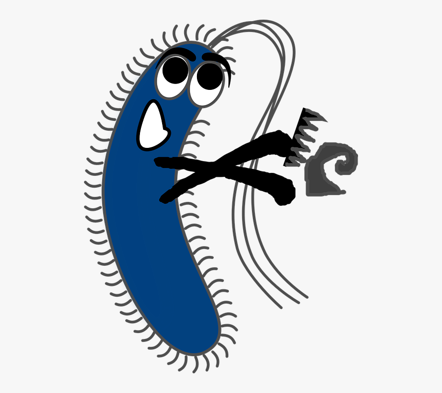 Transparent Germ Clipart - Transparent Bacteria Cartoon Png, Transparent Clipart