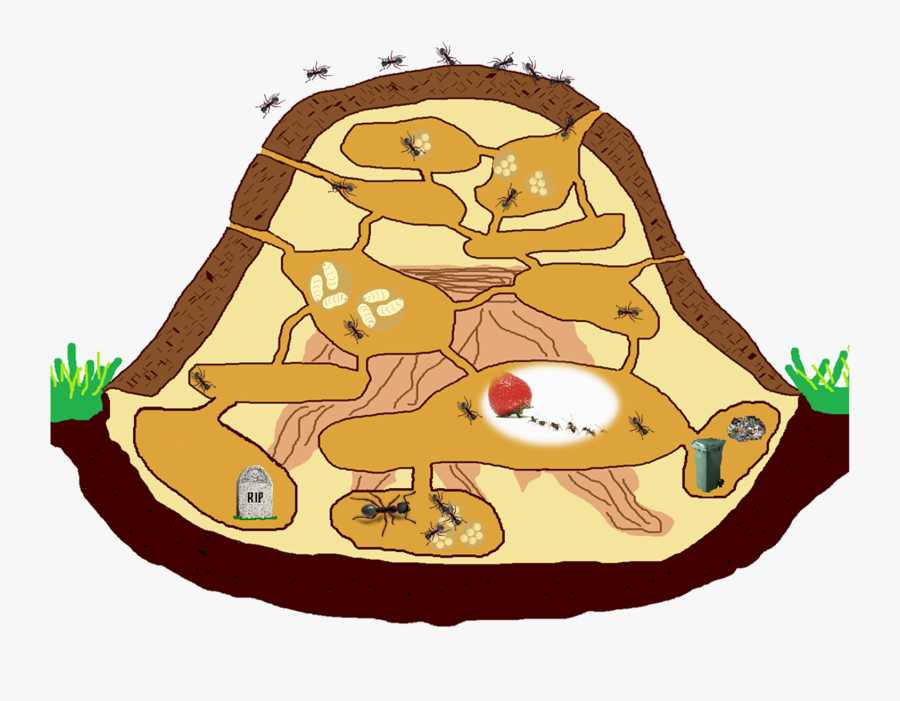Ant Colony Clip Art - Ant Colony Clipart, Transparent Clipart