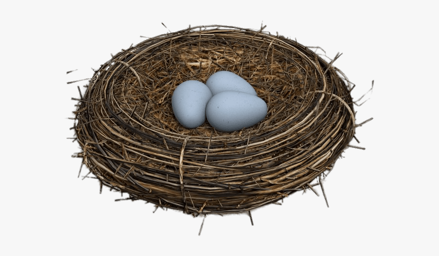 Bird Nest Png - Bird Nest Transparent Background, Transparent Clipart