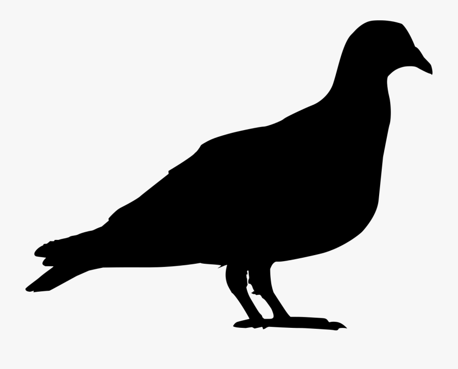 American Robin Silhouette At Getdrawings - Rock Dove, Transparent Clipart