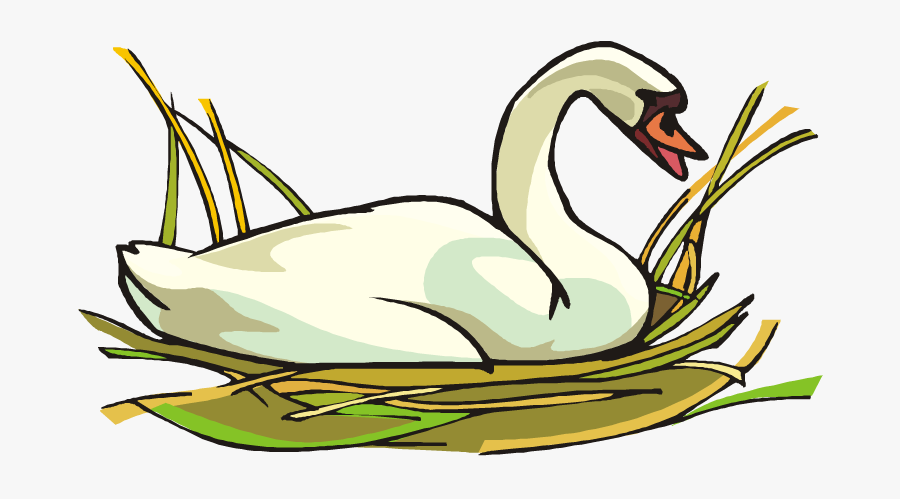 Swans, Transparent Clipart