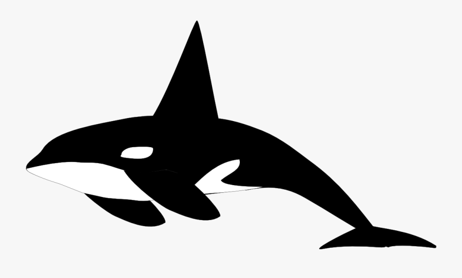 Orcas Clip Art Free Clipart Images - Killer Whale Clipart Png, Transparent Clipart