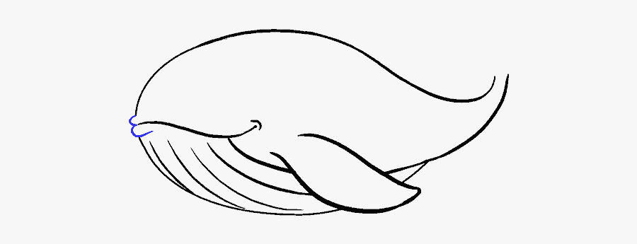 Clip Art How To Draw A - Draw A Humpback Whale, Transparent Clipart