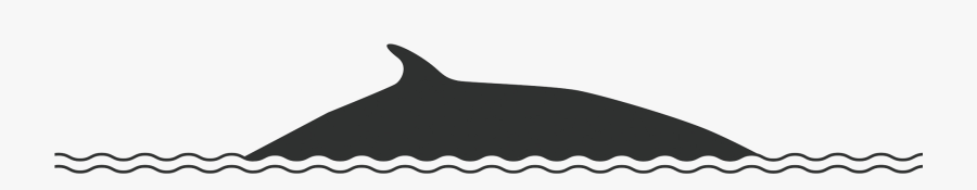 Whaletrips - Killer Whale, Transparent Clipart