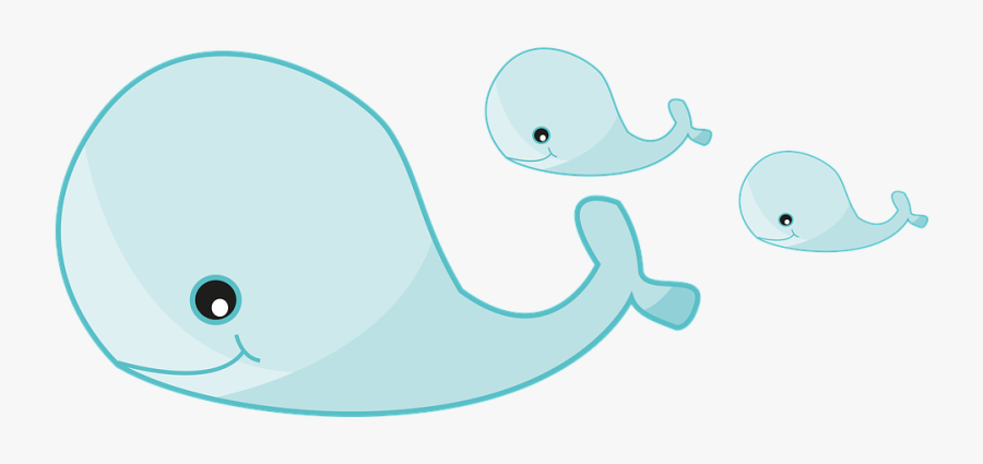 Cartoon Whale Cliparts 29, Buy Clip Art - Whales, Transparent Clipart