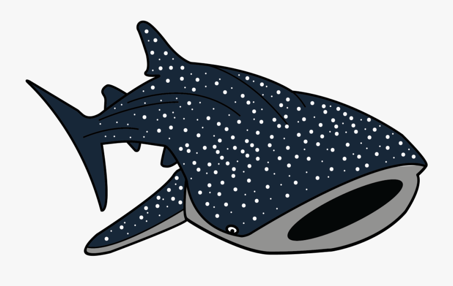 Hammerhead Shark Clipart Whale Shark - Whale Shark Vector Png, Transparent Clipart