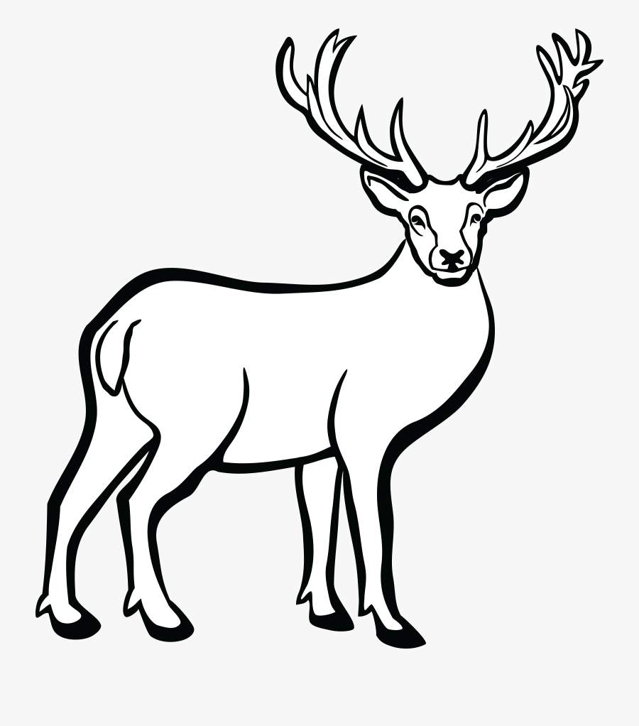 Clip Art Picture Free Black - Deer Black And White, Transparent Clipart