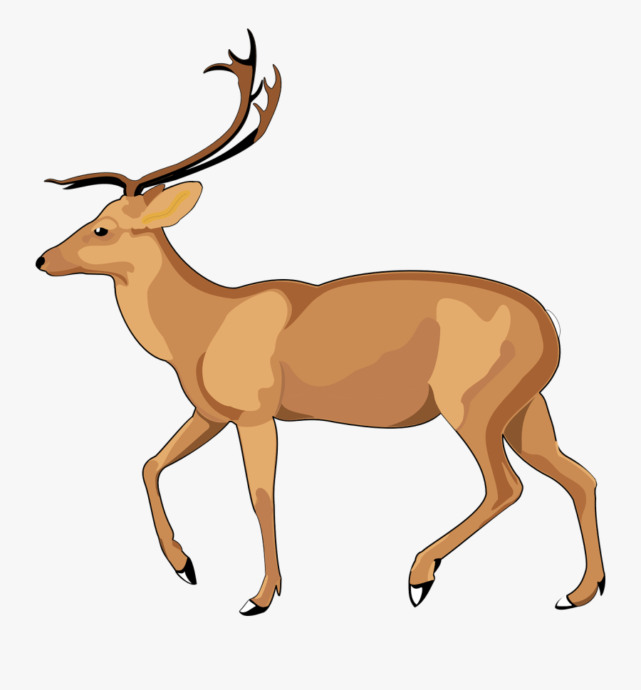 Free To Use & Public Domain Deer Clip Art - Debden Park High School, Transparent Clipart