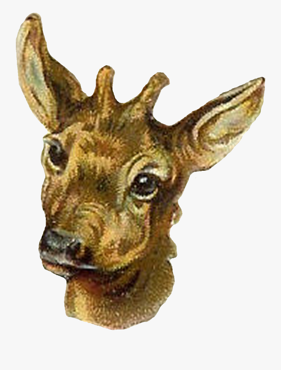 Antelope Digital Clip Art - Deer, Transparent Clipart