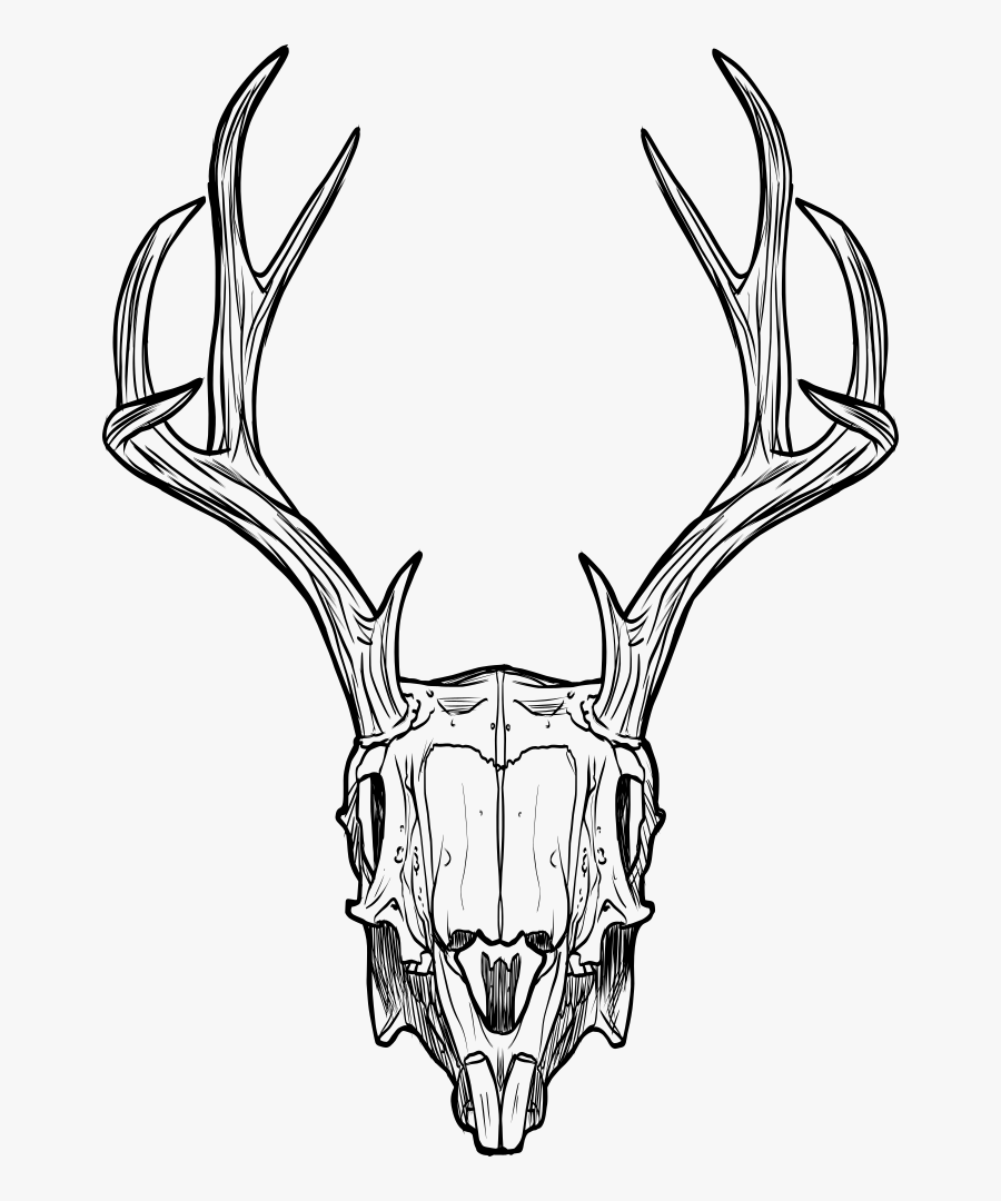 Deer Skull - Riverdale Gargoyle King Drawing, Transparent Clipart