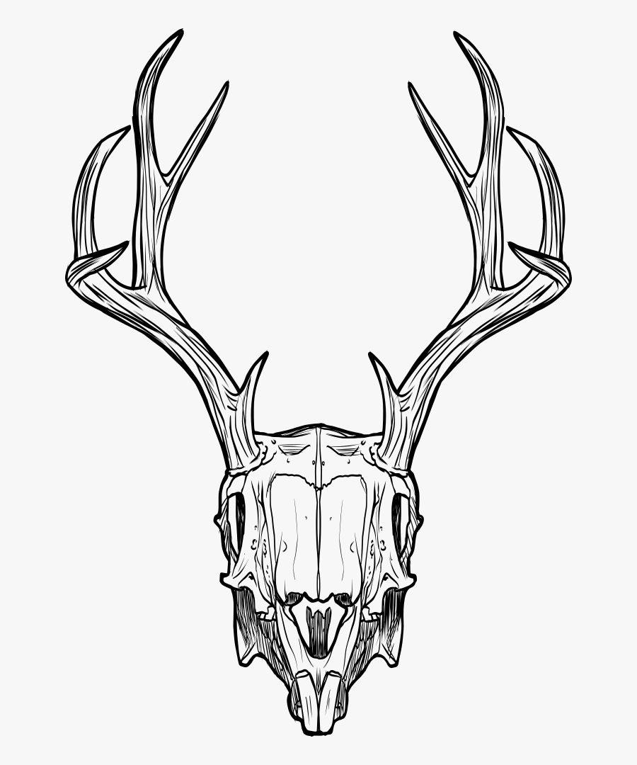 Deer Skull - Riverdale Gargoyle King Drawing , Free Transparent Clipart ...