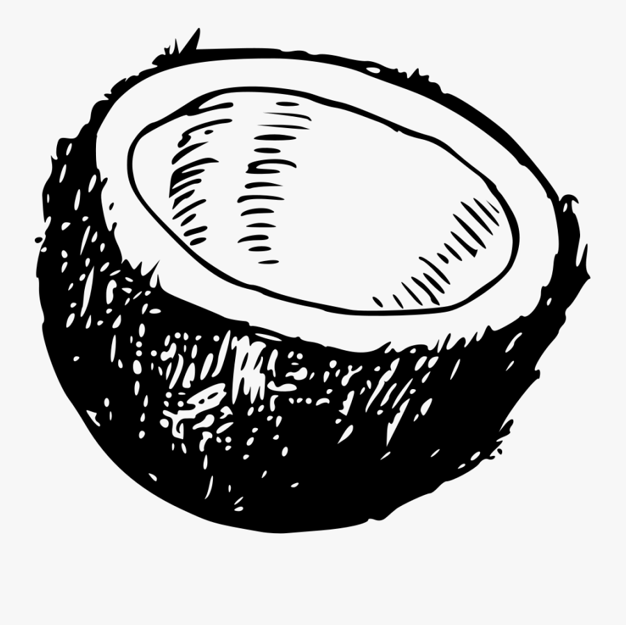 Coconut Line Art, Transparent Clipart