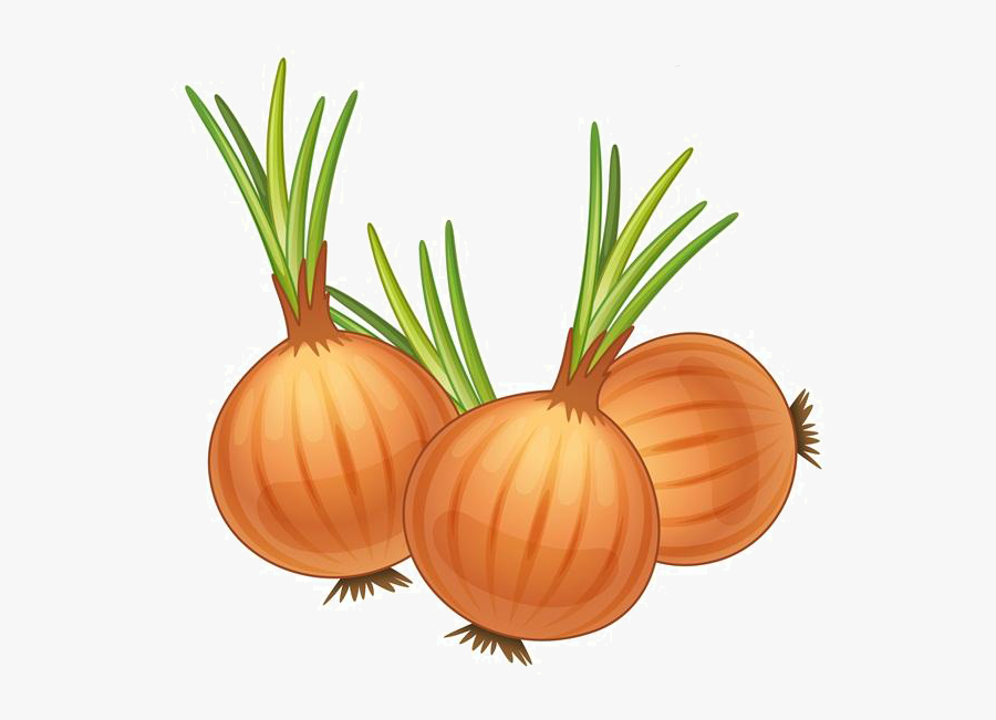 Transparent Onion Png - Cartoon Picture Of Onions, Transparent Clipart