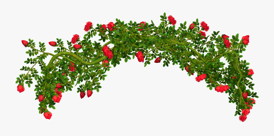 Rosebush Element Png Clipart Picture - Rose Bush Transparent Background, Transparent Clipart