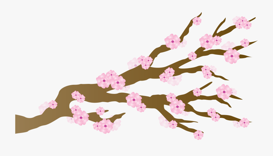 Japanese Cherry Blossom Flower Transparent, Transparent Clipart