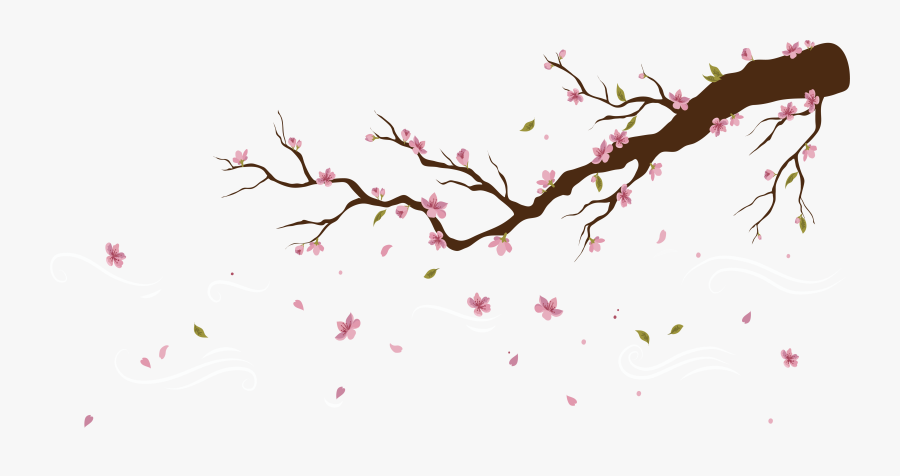 Transparent Sakura Flower Clipart Falling Cherry Blossom Transparent Background Free Transparent Clipart Clipartkey